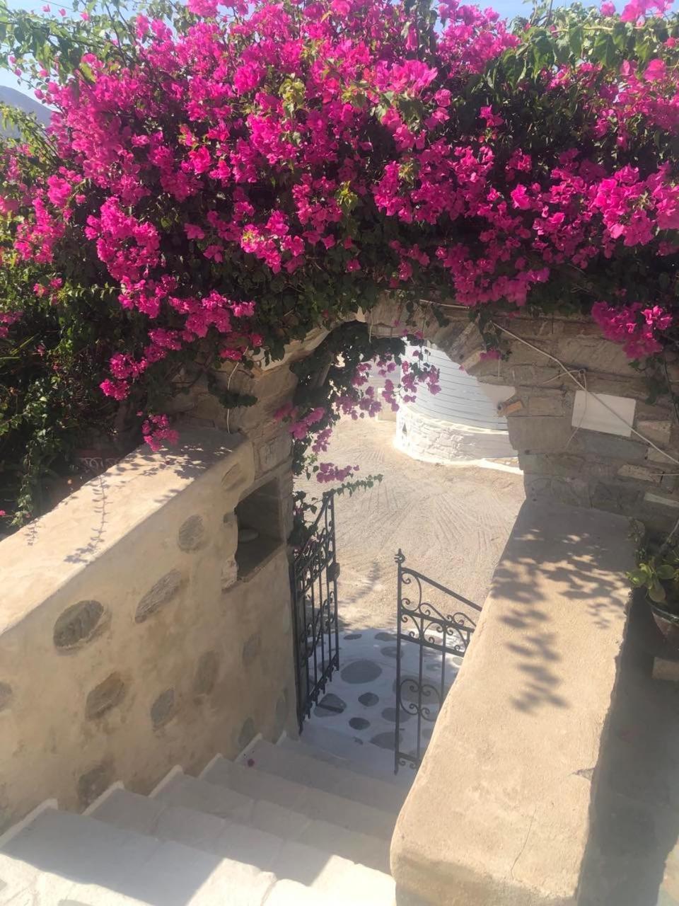 Blue Bay Heliolithos Hotel Parikia  Exterior photo